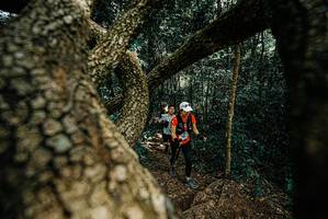 BIB: 
                            <button type="button" onclick="openModal(25704474)" class="btn btn-primary btn-sm float-right btn-popup" data-toggle="modal" data-target=".modal-high-quality">
                        <i class="fas fa-shopping-cart"></i> Add to Cart
                    </button>
                                            <button type="button" onclick="isThisMe(25704474, true)" class="btn btn-success btn-sm float-right btn-popup btn-isme hidden" data-toggle="tooltip" data-placement="bottom" title="นี่คือรูปของคุณใช่ไหม คลิกที่นี่เพื่อเอาเข้าอัลบั้ม">
                        <i class="fas fa-plus"></i> Add to album
                    </button>
                    <button type="button" onclick="isThisMe(25704474, false)" class="btn btn-warning btn-sm float-right btn-popup btn-isnotme hidden">
                        <i class="fas fa-ban"></i> Remove from album
                    </button>